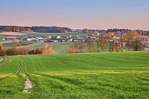 Gemeinde Reischach Landkreis Altötting Arbing Feldkreuz Aussicht (Dirschl Johann) Deutschland AÖ